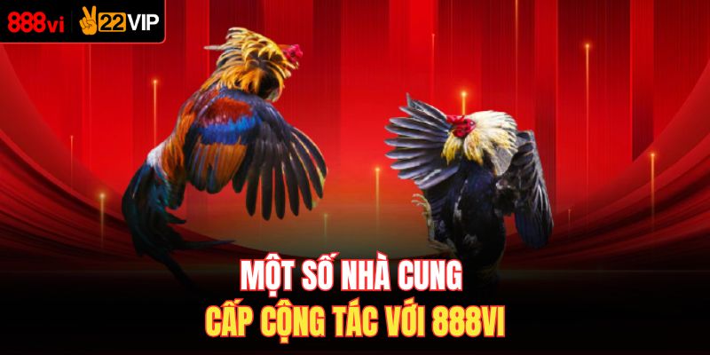 Một số nhà cung cấp cộng tác với 888VI