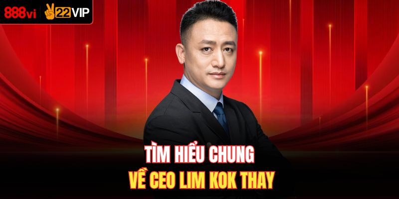 Tìm hiểu chung về CEO Lim Kok Thay
