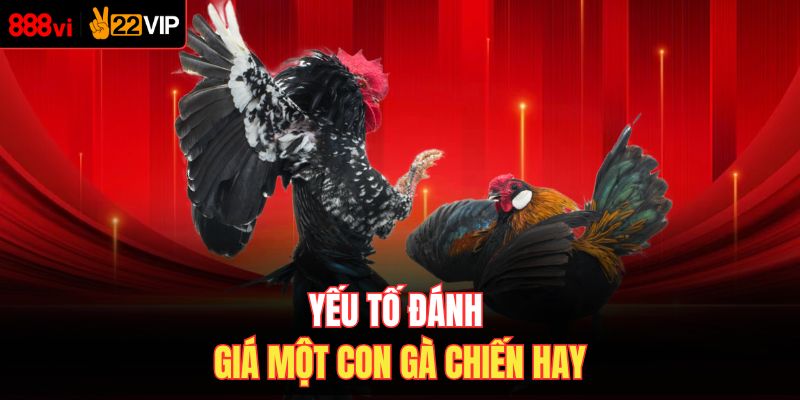 Yếu tố đánh giá một con gà chiến hay